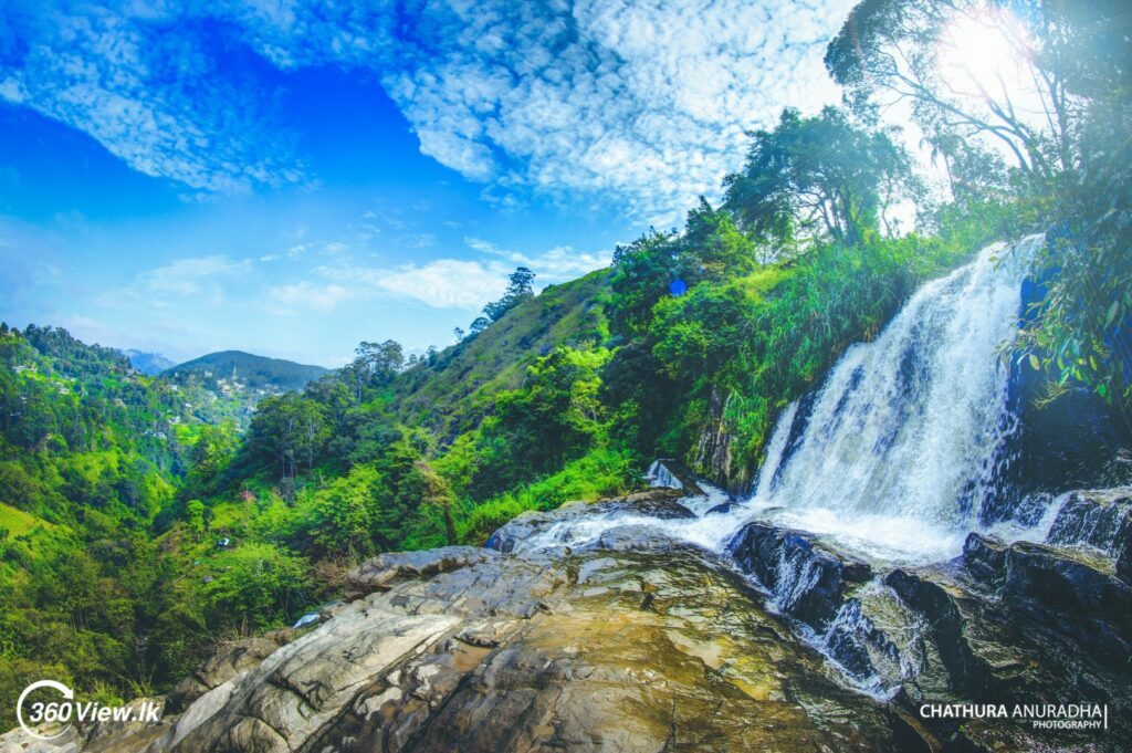 Nature Photography