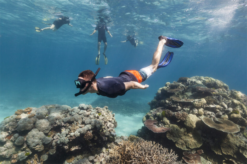 Snorkelling & Coastal Marine Exploration
